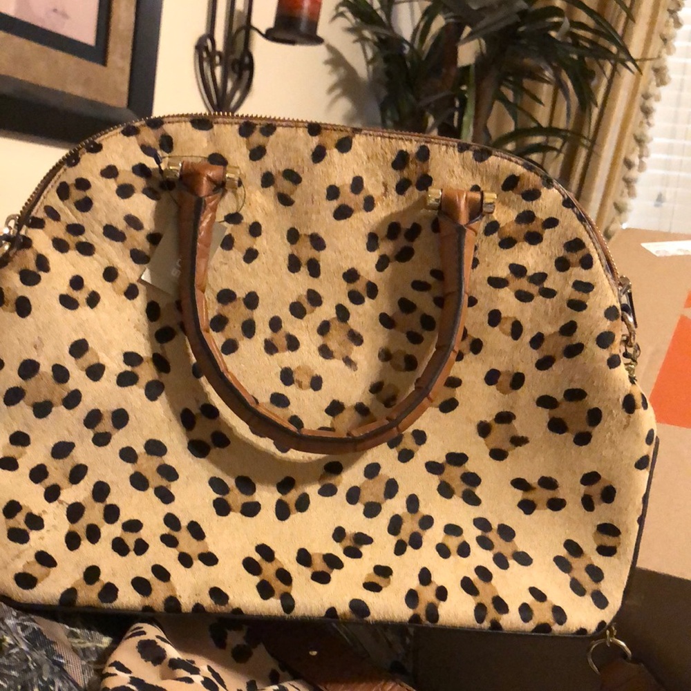 Leopard Print Blouse View 5